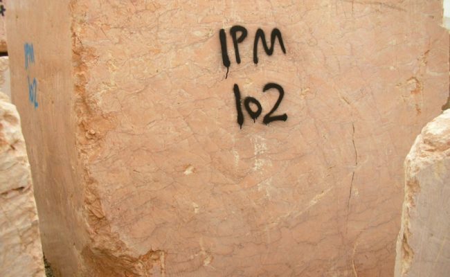 IPM – 1 of 10 (7)